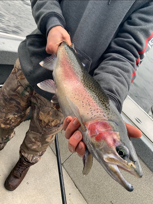 Jayden Maida Fishing Summary - January 2021